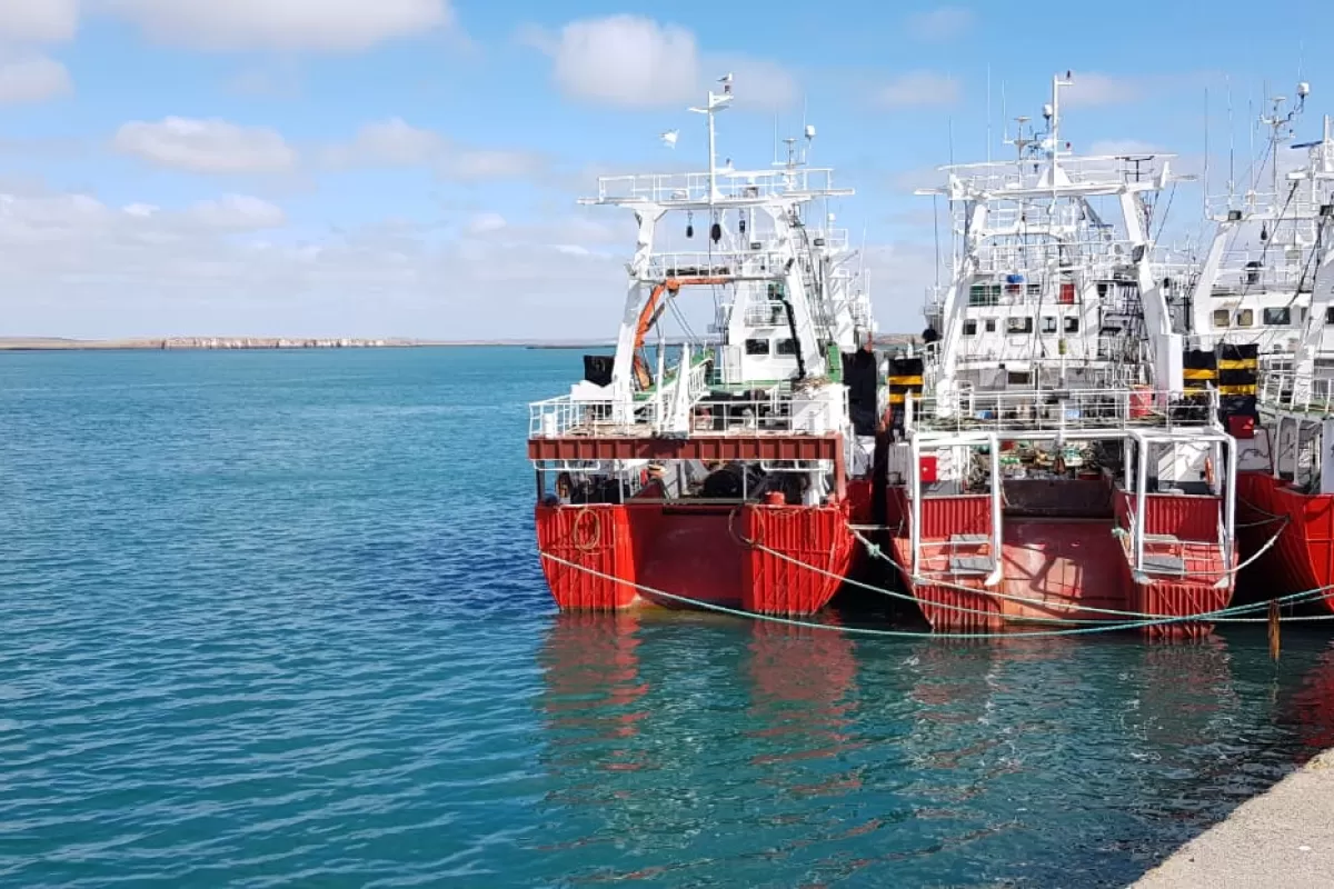Entre Havanna y Dandy: los pedidos de soborno que sacuden a la pesca