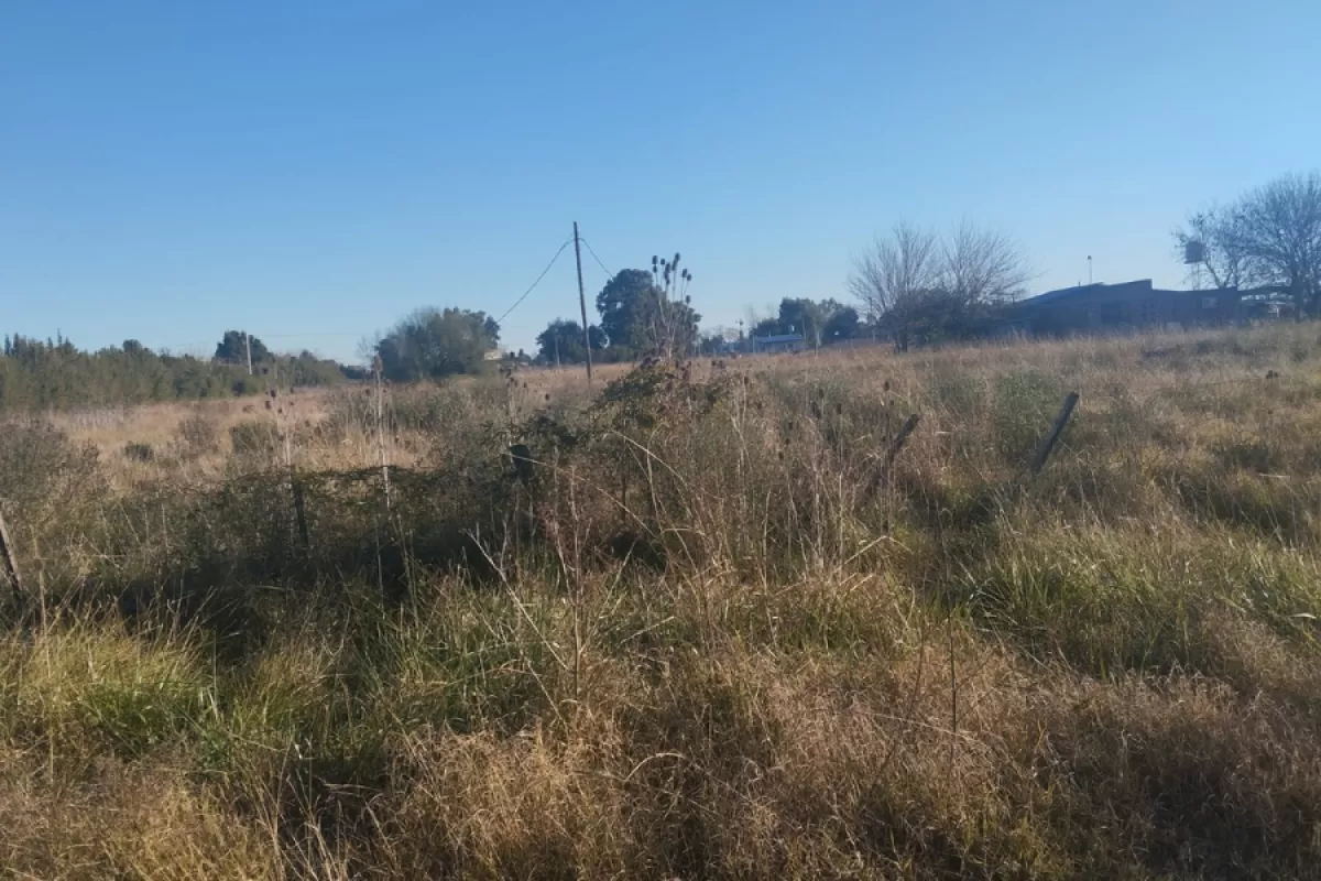 Usurpaciones en Coronel Brandsen: denuncian ataques contra herederos de terrenos