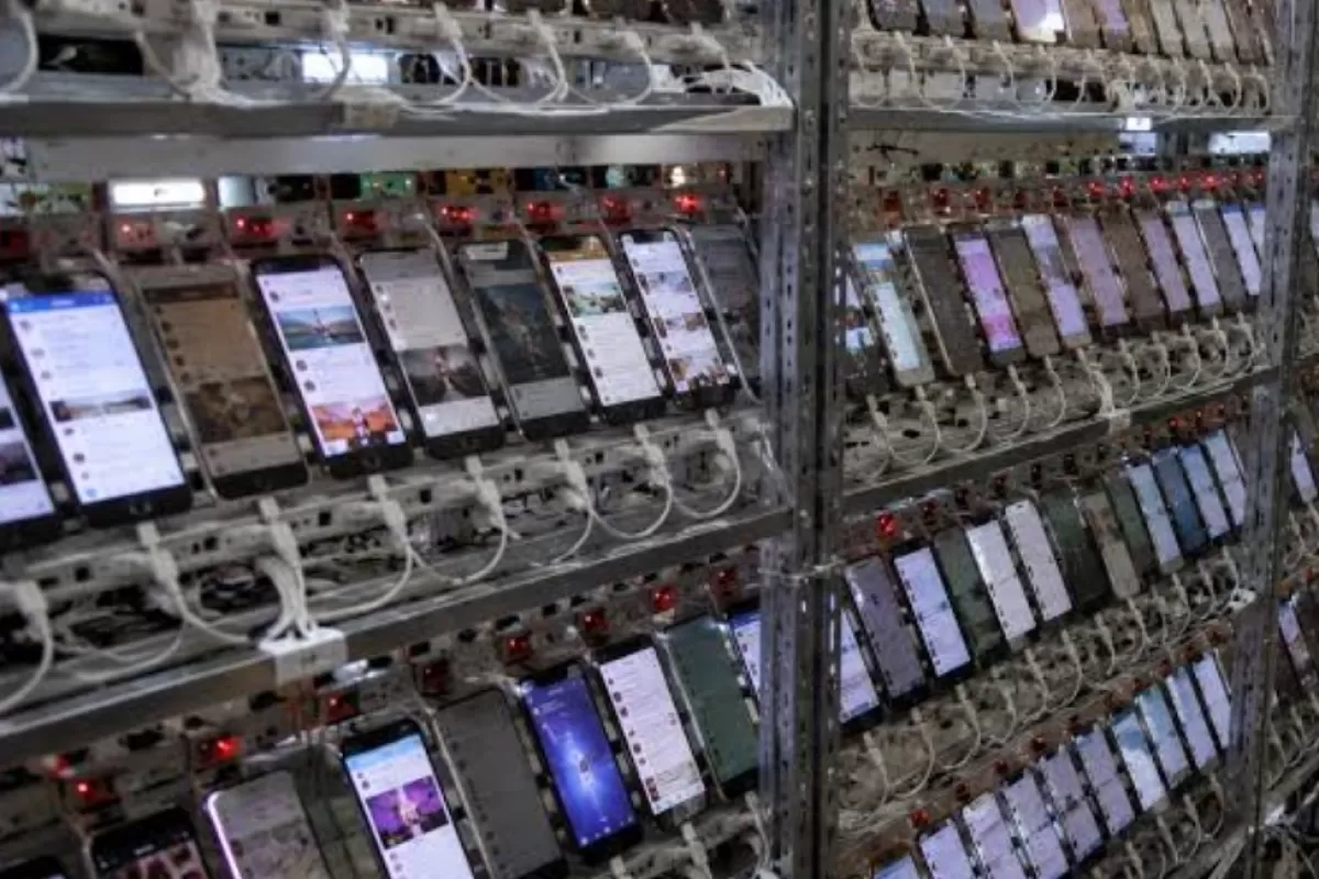 Plantean decomisar celulares y servidores usados para manipular elecciones y destinarlos a educaci&oacute;n o ciberseguridad