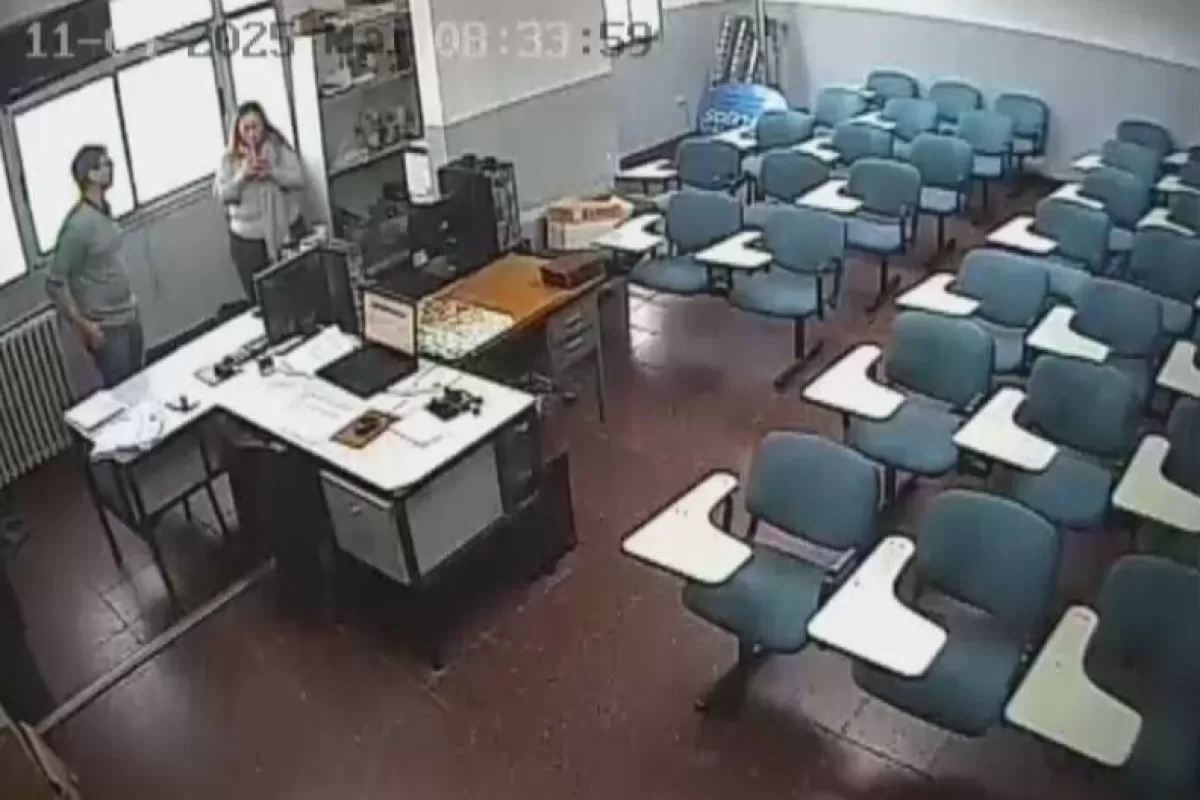 En Mar del Plata se agrava el caos en Licencias de Conducir y nadie asume responsabilidades