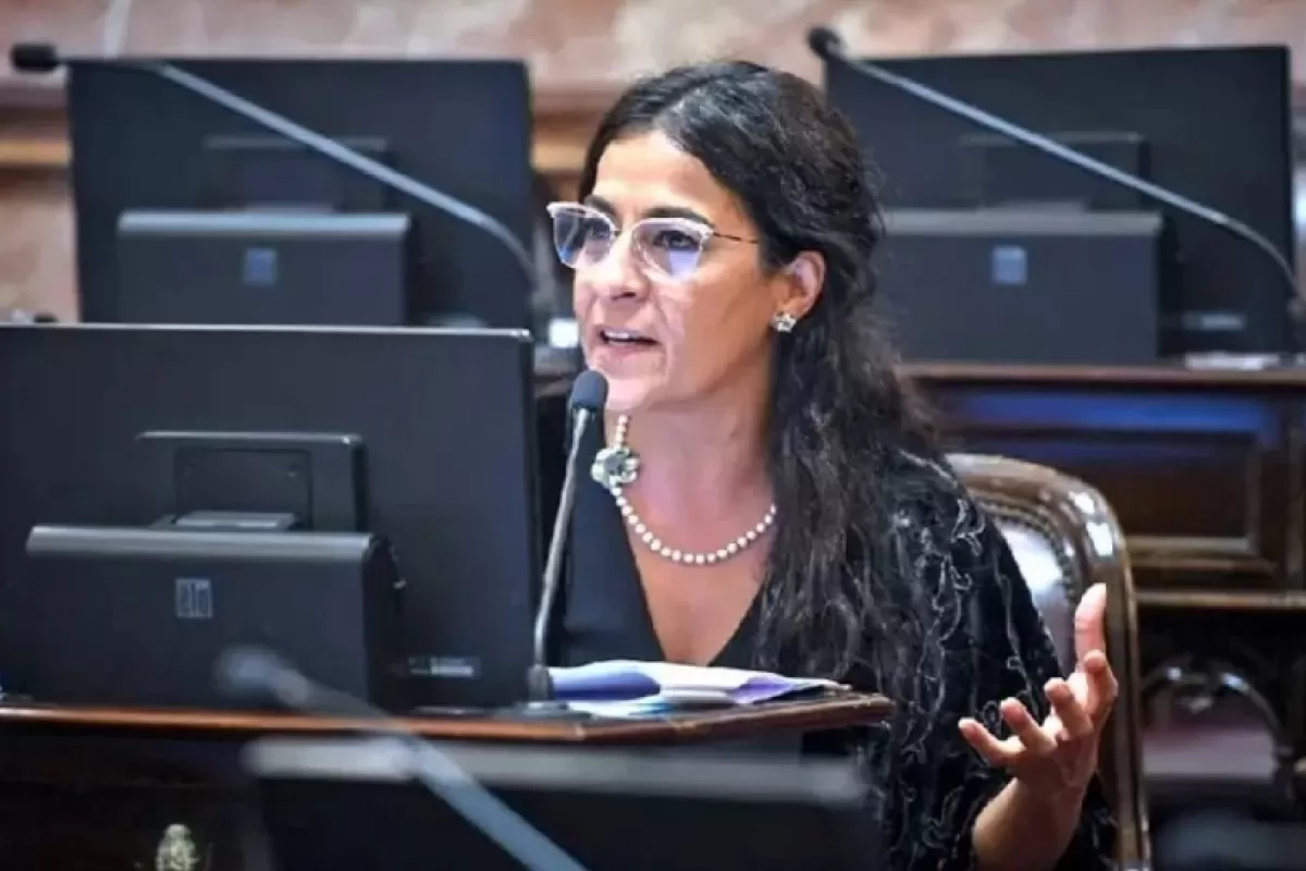 La propuesta de Carolina Mois&eacute;s abre la puerta a que hospitales p&uacute;blicos participen de procesos para terminar con la vida de enfermos