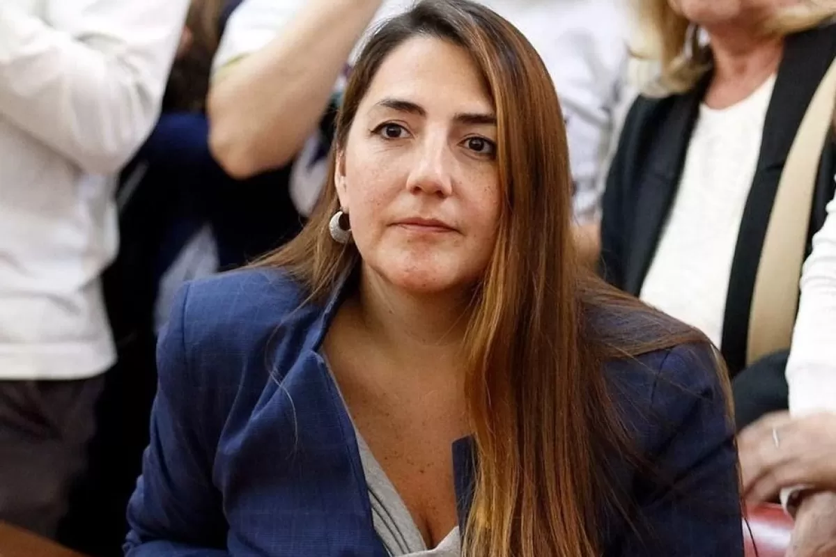 Un proyecto en Mar del Plata reabre una de las discusiones m&aacute;s intensas del pa&iacute;s