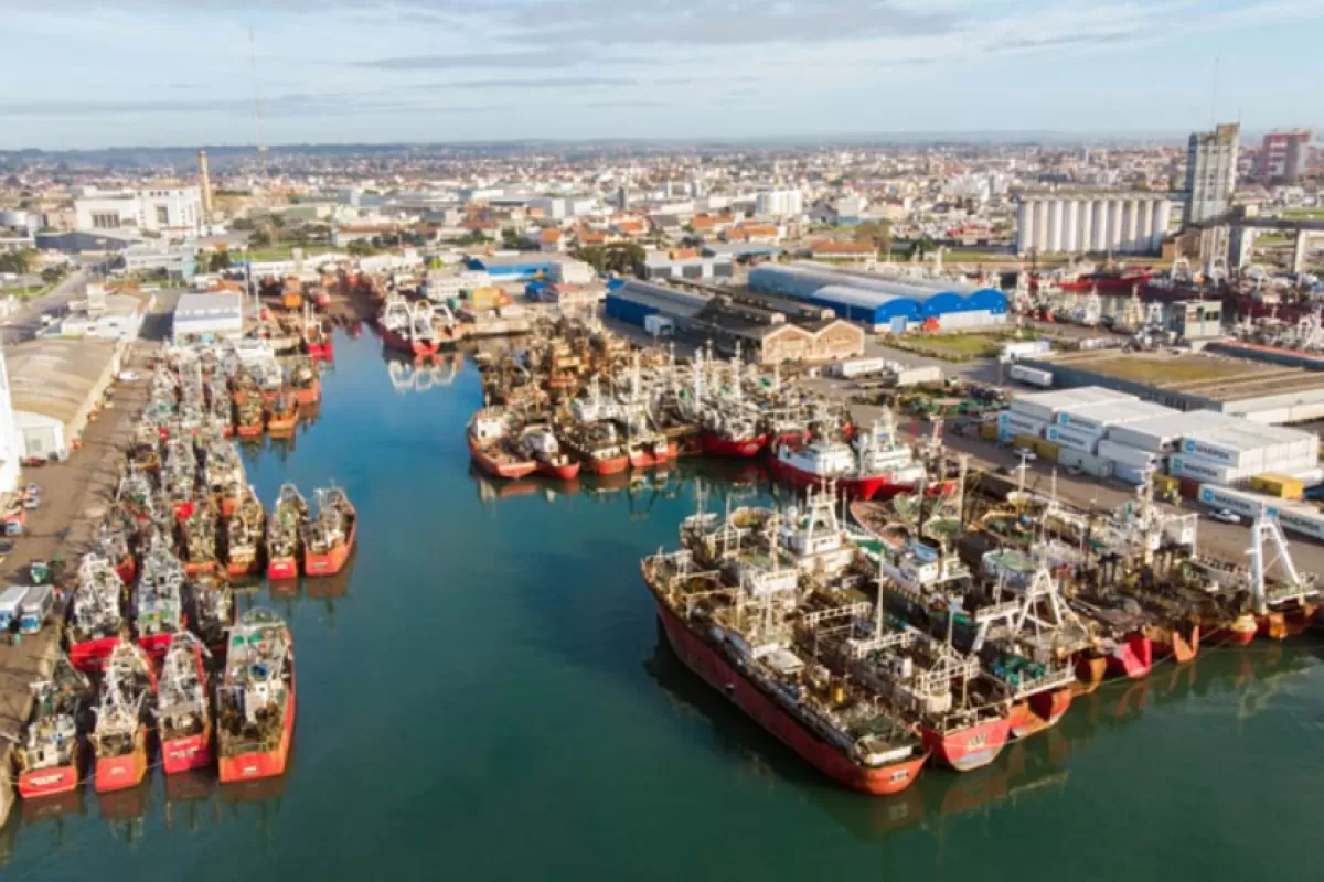 Entre olores y humo, Mar del Plata vuelve a quedar expuesta por las harineras del puerto
