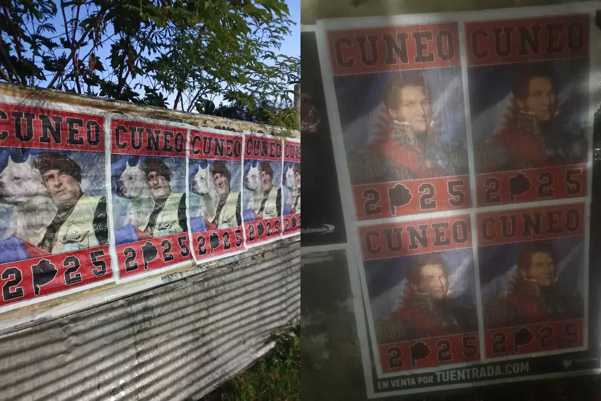 Sin partido, pero con afiches: la sorpresiva campaña del nacionalista Cúneo