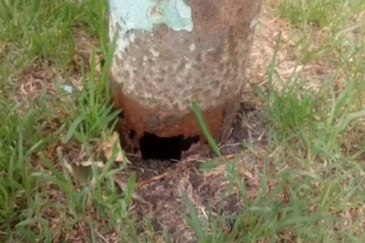 Un vecino de Mar del Plata recibir&aacute; m&aacute;s de tres millones de pesos tras la ca&iacute;da de una estructura de iluminaci&oacute;n