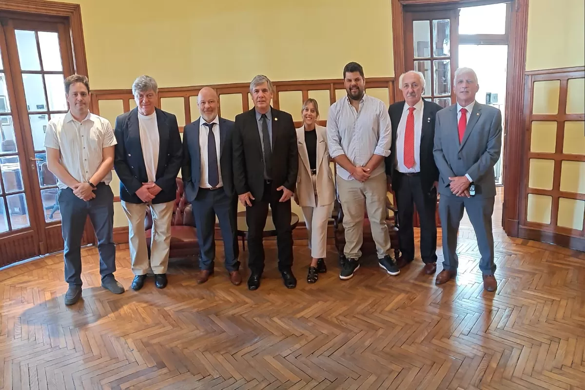 En el armado institucional nacional, la Provincia de Buenos Aires logra protagonismo dentro de la conducci&oacute;n t&eacute;cnica