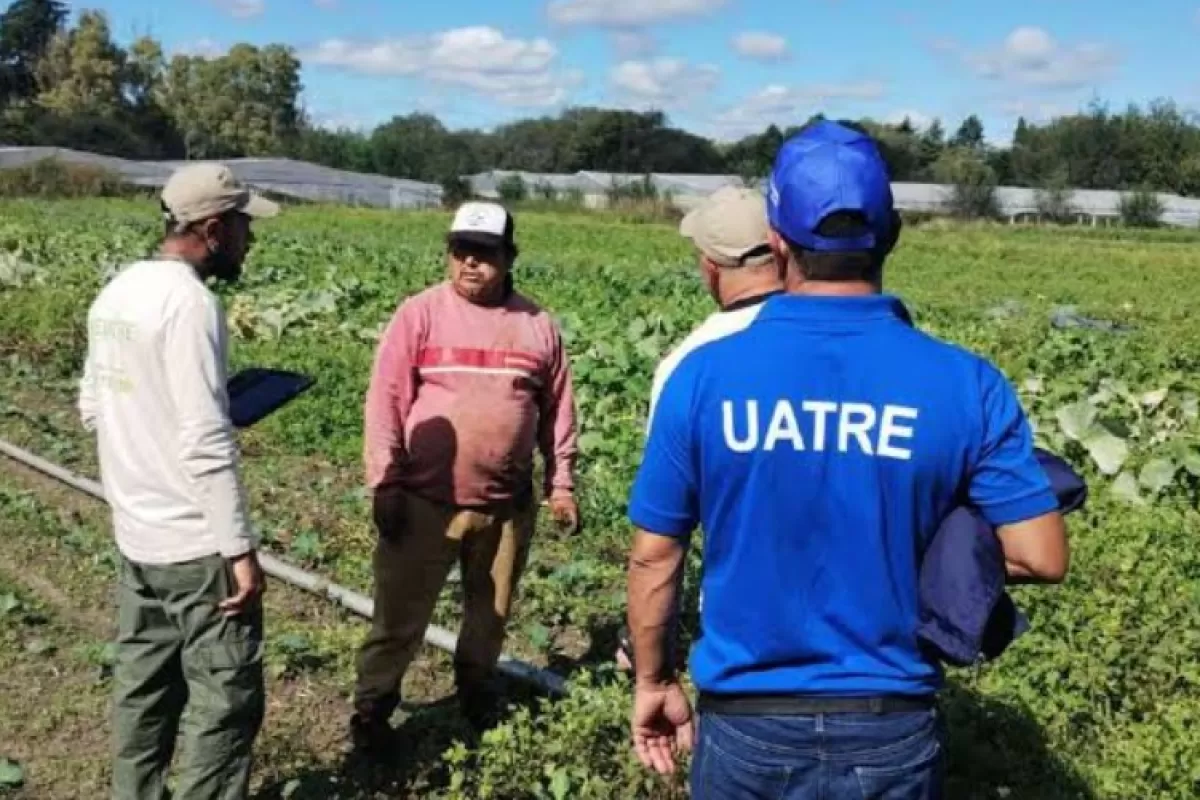 Apuntan contra UATRE por una red cercana a Claudia Llanos con remuneraciones de hasta 3 millones de pesos