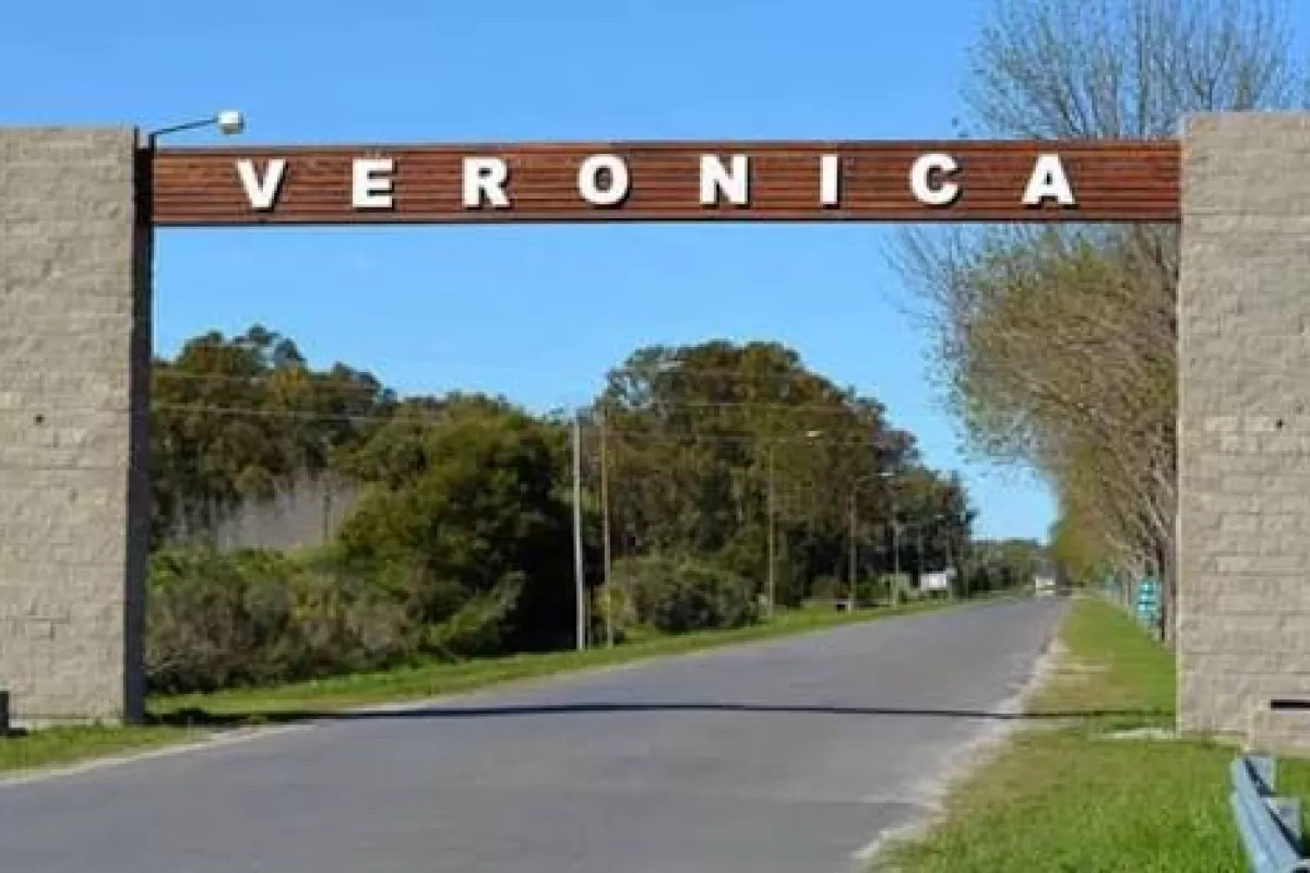 Especialistas internacionales debatir&aacute;n en Ver&oacute;nica sobre ganader&iacute;a regenerativa y suelos saludables