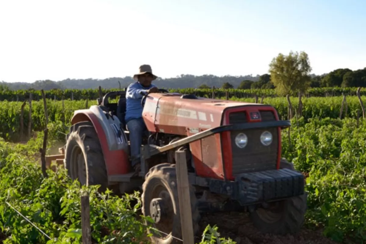 Buscan que Diputados avance con un plan que otorgue al agro las mismas ventajas que tienen miner&iacute;a y energ&iacute;a