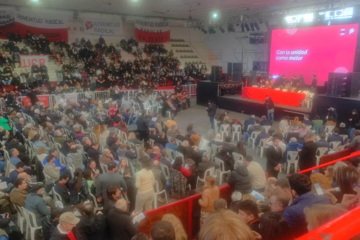 La UCR bonaerense eligi&oacute; a Pablo Nicoletti en la Convenci&oacute;n, pero 65 dirigentes se retiraron por falta de acuerdo