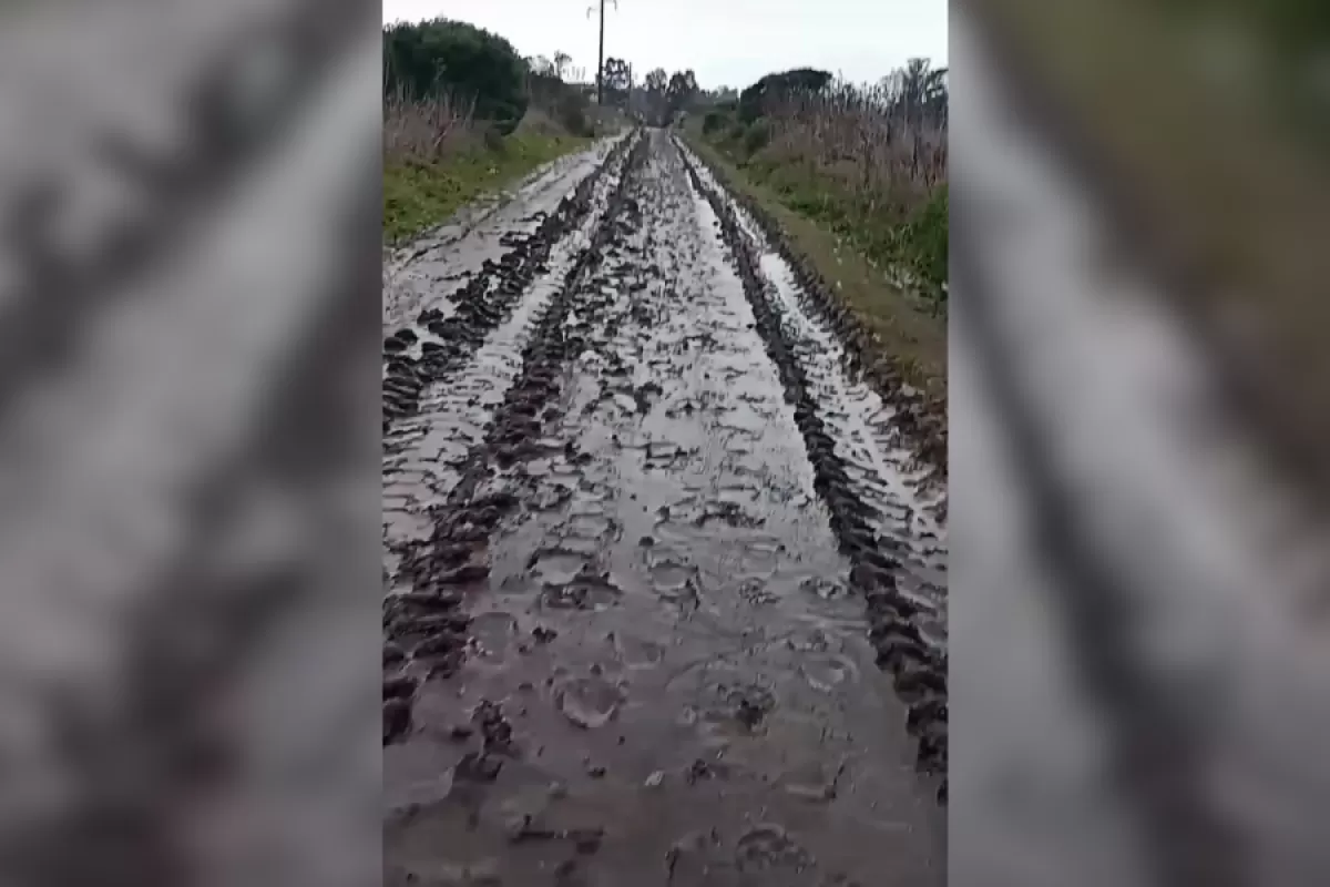 La gesti&oacute;n en General Pueyrredon qued&oacute; expuesta tras el tenso reclamo contra Mayra Fretes por calles intransitables