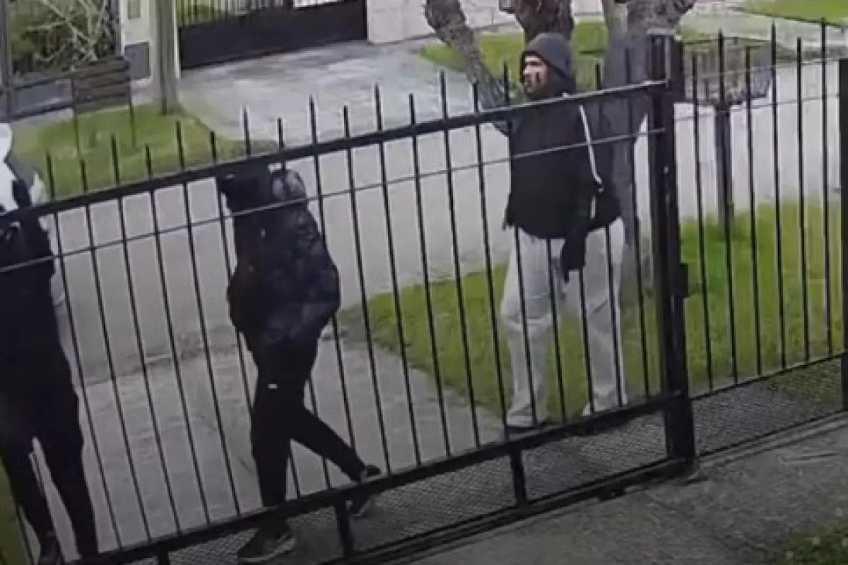 C&aacute;maras expusieron c&oacute;mo una banda recorri&oacute; Mar del Plata cometiendo robos casi sin oposici&oacute;n