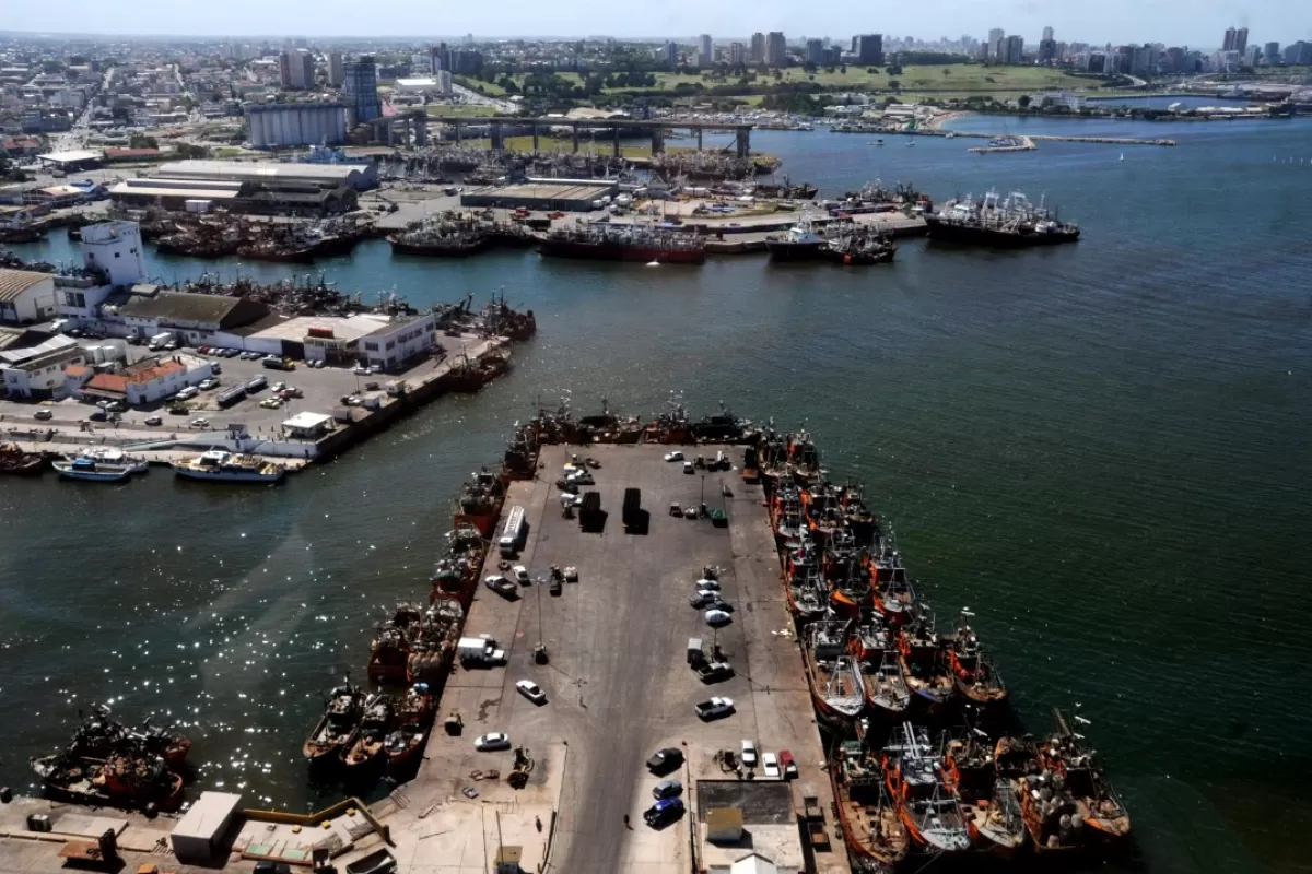 Mar del Plata enfrenta una denuncia por da&ntilde;o sist&eacute;mico en su puerto con respaldo de estudios del CONICET y el INIDEP