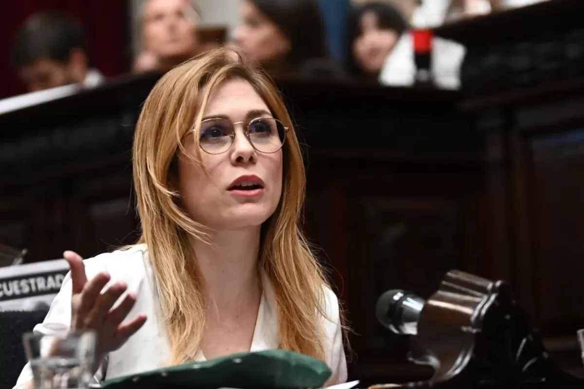 Lilia Lemoine, contra Formosa... pero el problema era de Bullrich