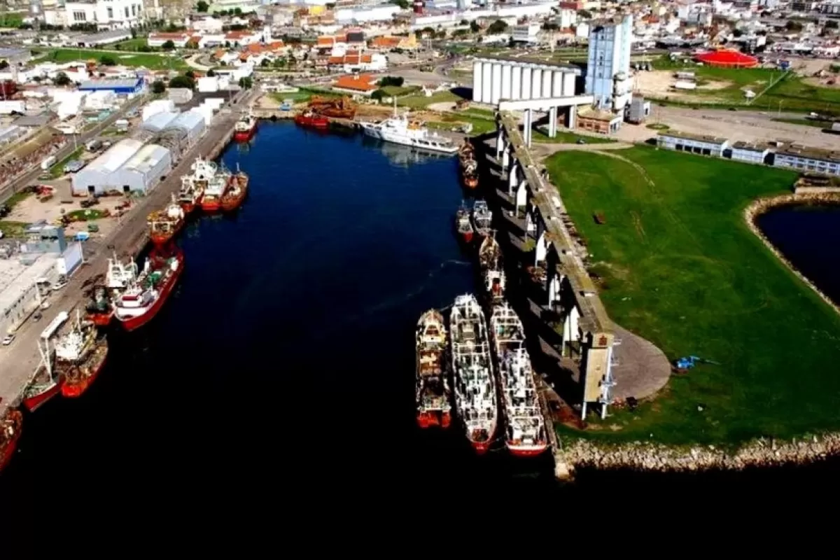 Presentan en Mar del Plata una denuncia contra harineras por supuesta contaminaci&oacute;n y ausencia de permisos