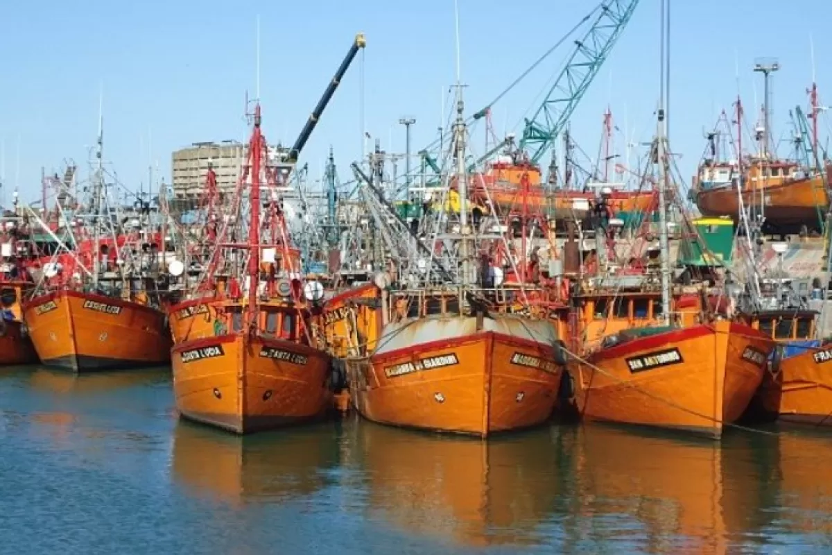 La Justicia analiza en Mar del Plata una posible relaci&oacute;n entre metales en sangre y emisiones del puerto