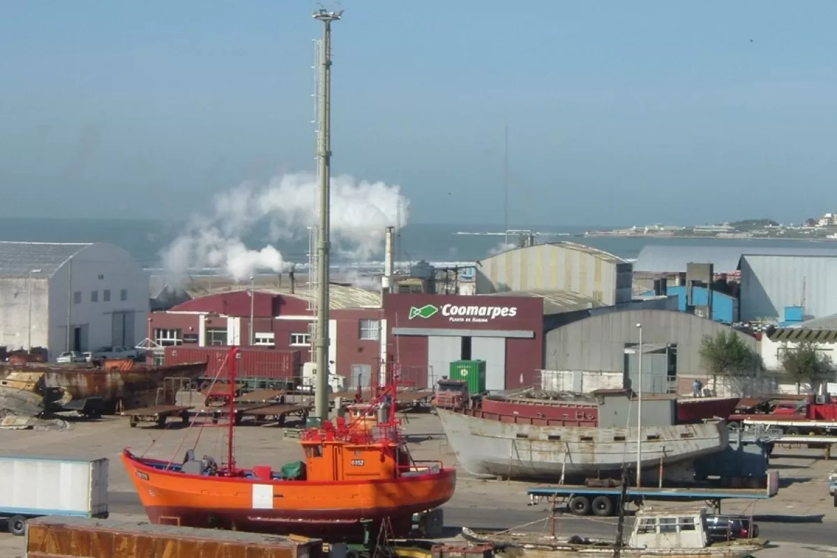 Ministerio advierte sobre emisiones gaseosas en plantas del puerto de Mar del Plata tras analizar licencias