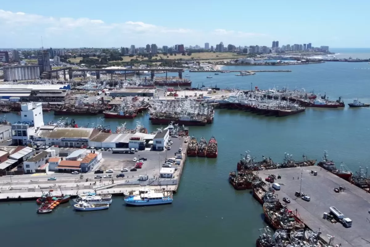 Advierten que Minguillón homologó un acuerdo incompleto en la causa de harineras de Mar del Plata