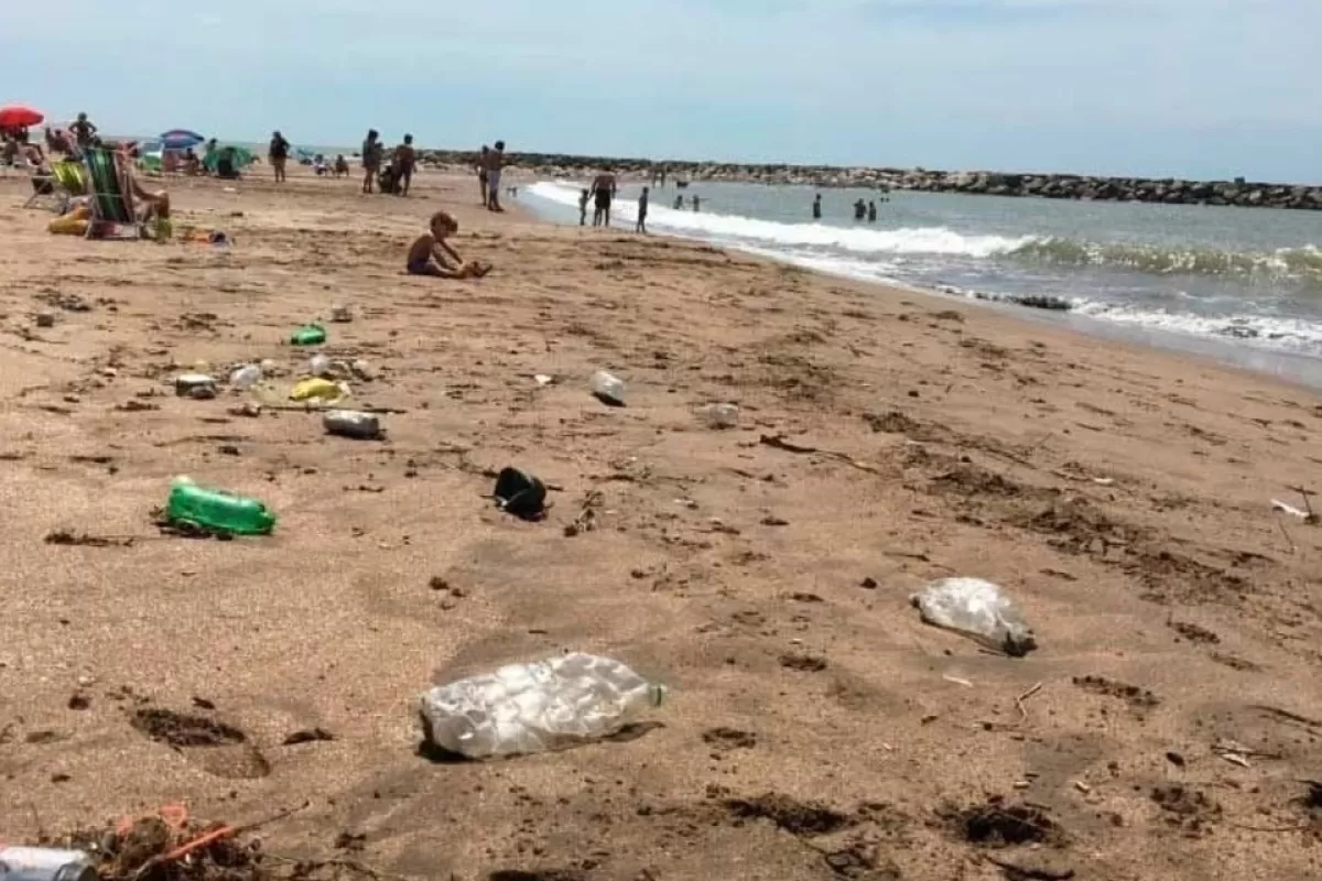 La contaminaci&oacute;n costera avanza y pone en riesgo el ecosistema marino de Mar del Plata