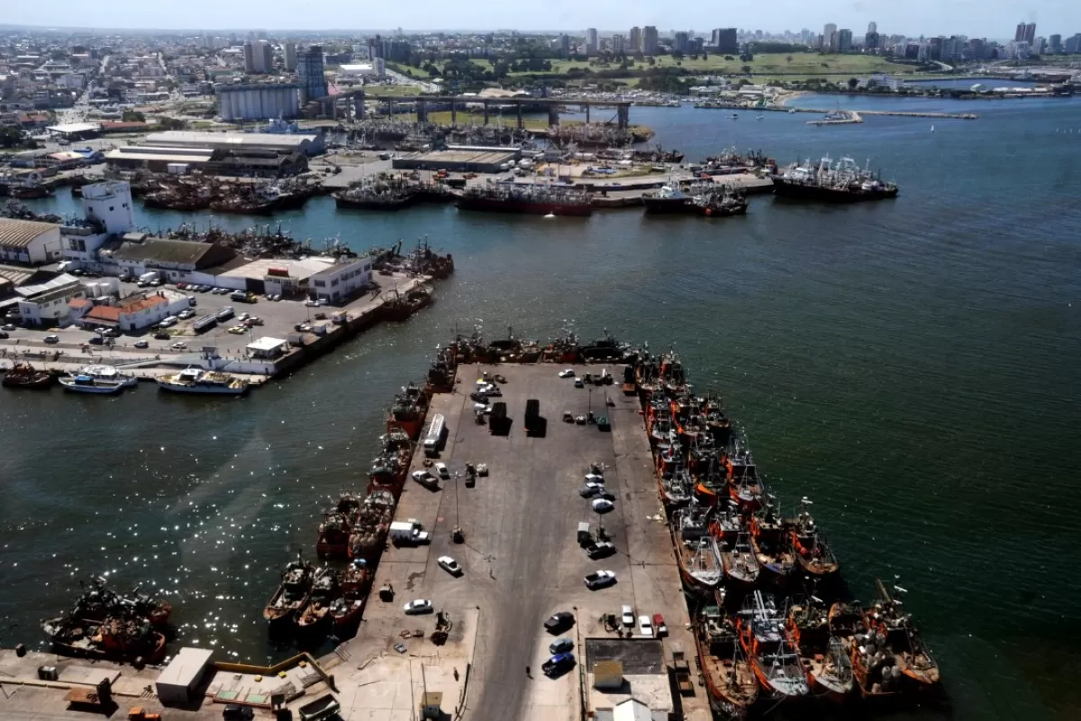 &ldquo;Me envenenaron&rdquo;: un hombre de Mar del Plata present&oacute; estudios y apunt&oacute; al ambiente del puerto