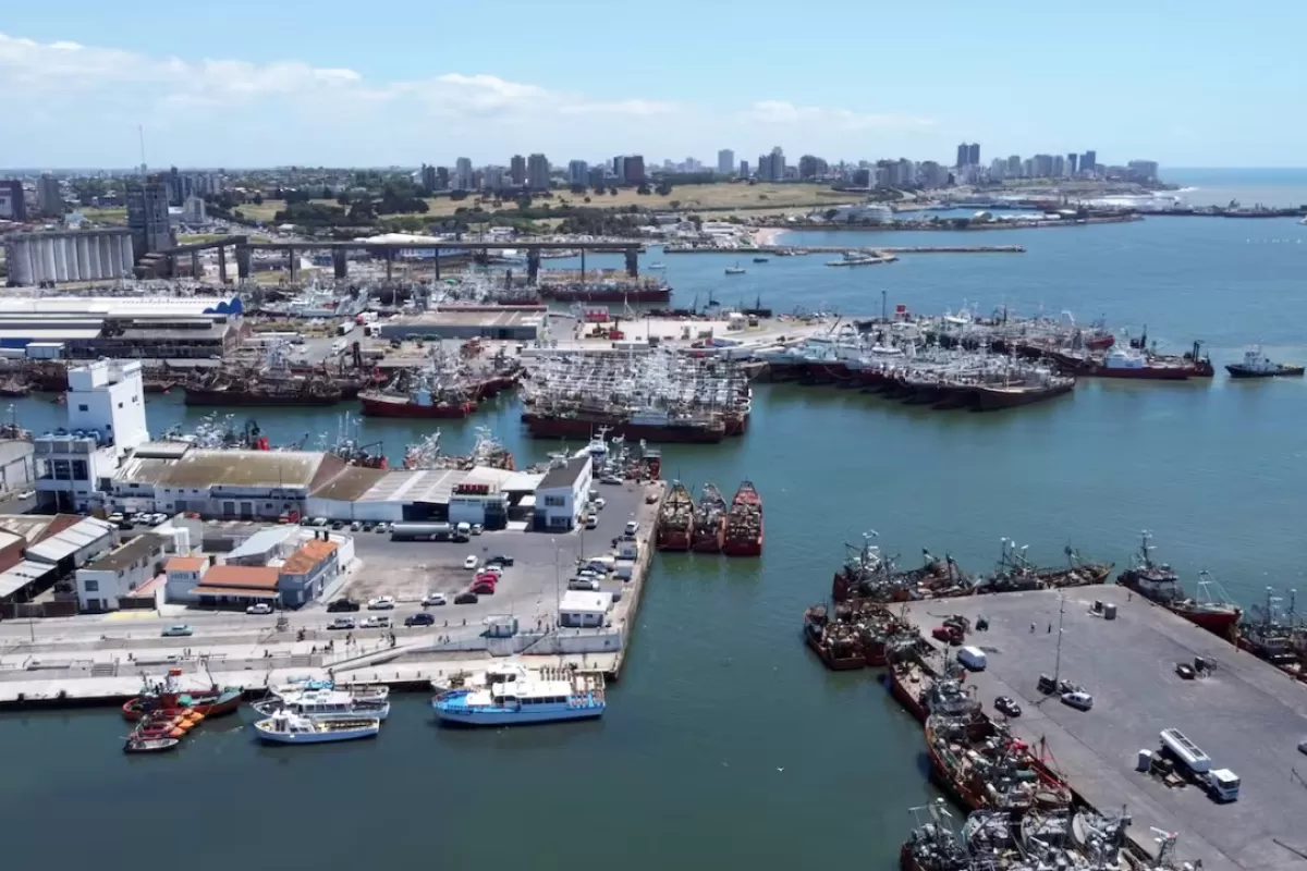 Un informe revela que Mar del Plata registra niveles de trimetilamina cientos de veces superiores a lo permitido