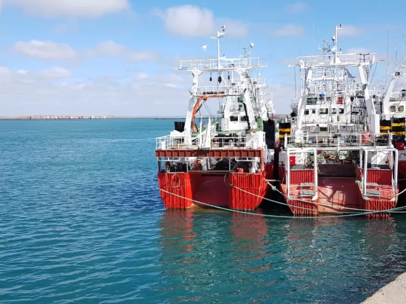 Entre Havanna y Dandy: los pedidos de soborno que sacuden a la pesca