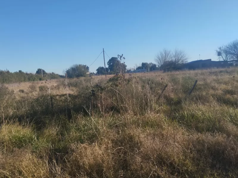 Usurpaciones en Coronel Brandsen: denuncian ataques contra herederos de terrenos