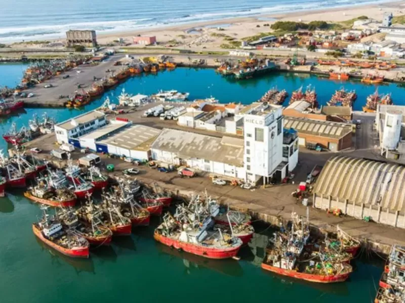 Mar del Plata enfrenta nuevas dudas sobre la actividad harinera tras una denuncia por presuntos metales pesados