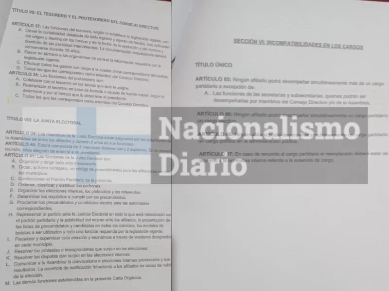 En Chubut denuncian irregularidades en elecciones internas del Partido Libertario