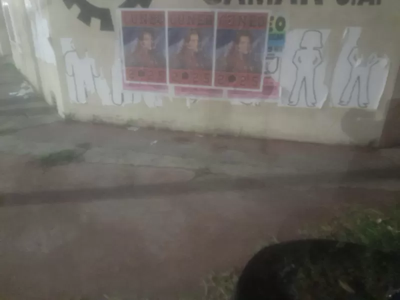 Sin partido, pero con afiches: la sorpresiva campaña del nacionalista Cúneo