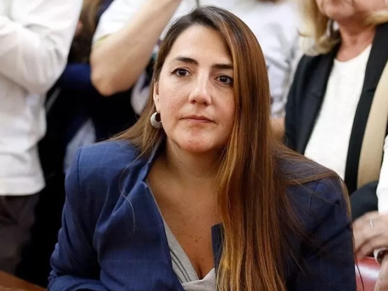 Un proyecto en Mar del Plata reabre una de las discusiones m&aacute;s intensas del pa&iacute;s