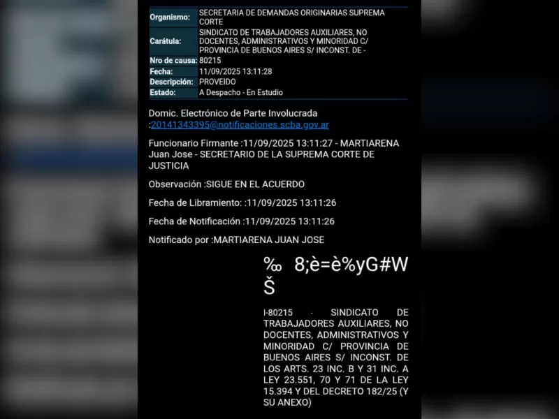 M&aacute;s de 300 trabajadores esperan que la Corte trate la cautelar contra los cambios laborales en Ni&ntilde;ez