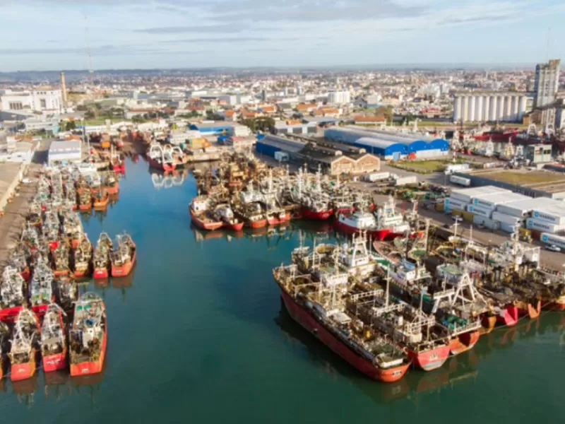 Entre olores y humo, Mar del Plata vuelve a quedar expuesta por las harineras del puerto