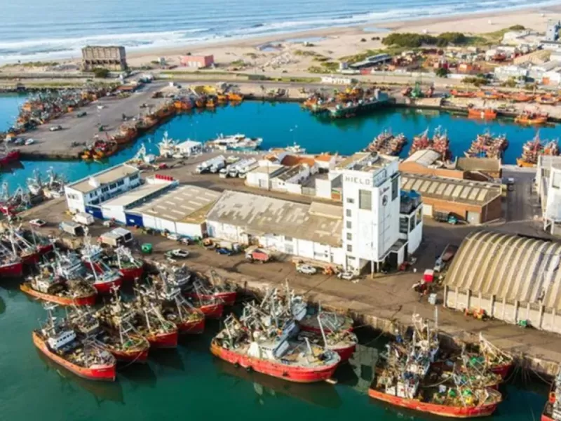 Detectan da&ntilde;os en agua, aire y &aacute;reas protegidas vinculadas al Puerto de Mar del Plata