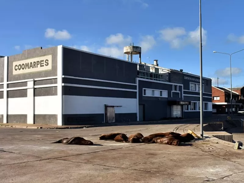 La causa por presunta contaminaci&oacute;n suma un nuevo pedido probatorio en el Tribunal Federal de Mar del Plata