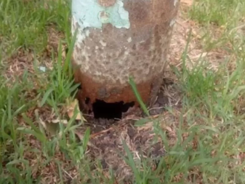 Un vecino de Mar del Plata recibir&aacute; m&aacute;s de tres millones de pesos tras la ca&iacute;da de una estructura de iluminaci&oacute;n