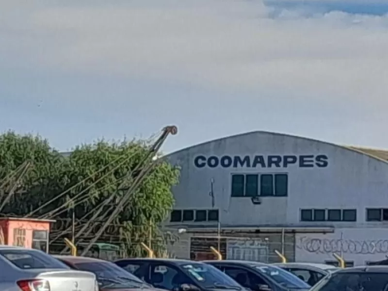 Con Mar del Plata en el centro de la discusi&oacute;n, Maturana advirti&oacute; por &ldquo;vahos corrosivos&rdquo; en el puerto