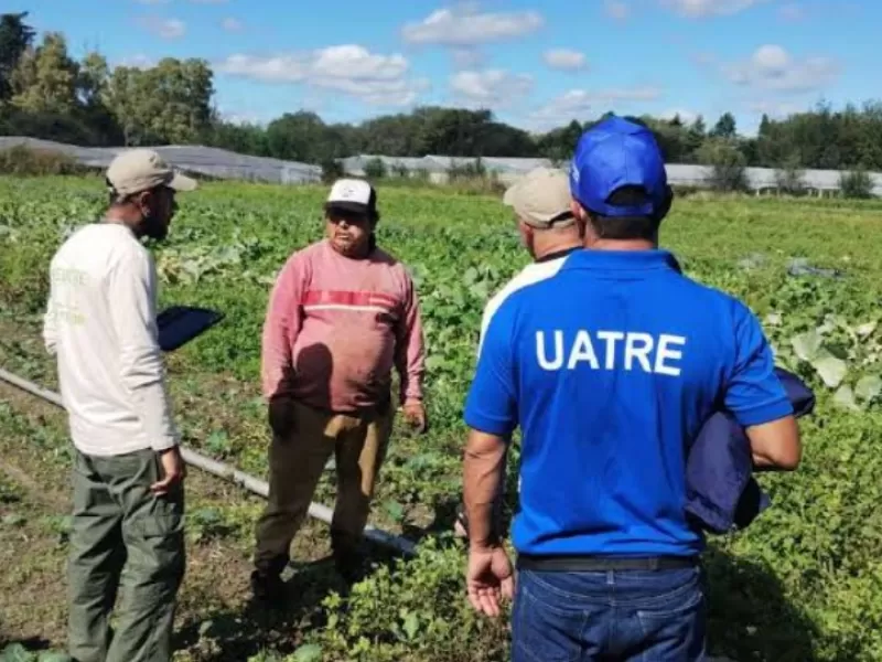 Apuntan contra UATRE por una red cercana a Claudia Llanos con remuneraciones de hasta 3 millones de pesos
