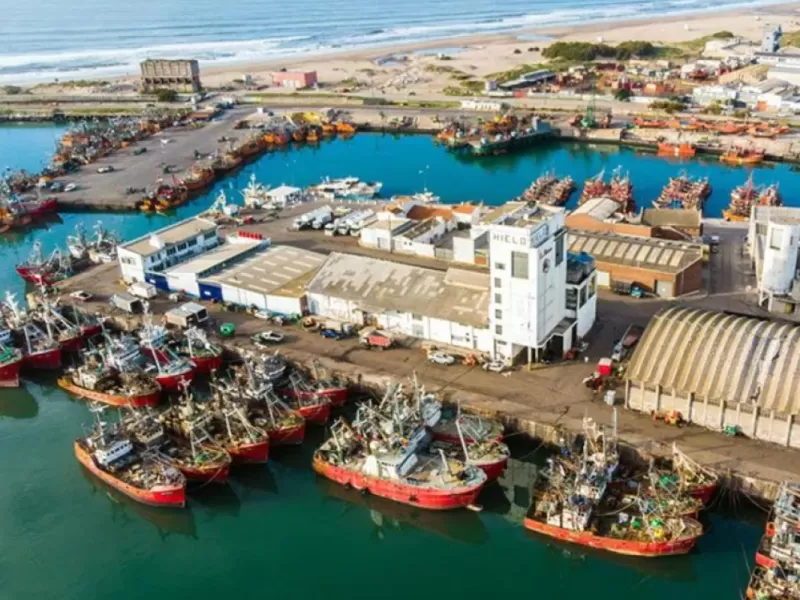 Denuncian en Mar del Plata una d&eacute;cada de irregularidades alrededor de las harineras y se&ntilde;alan al Juzgado Federal