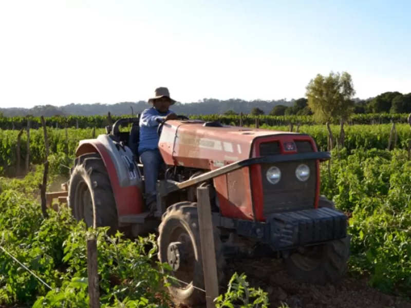 Buscan que Diputados avance con un plan que otorgue al agro las mismas ventajas que tienen miner&iacute;a y energ&iacute;a