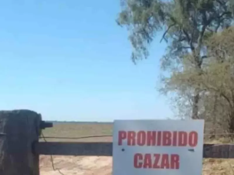 La Justicia de Chaco acumula causas por desalojo y fraude que afectan a familias rurales