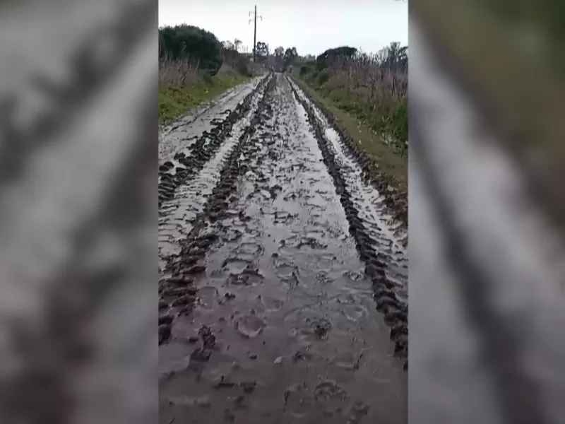 La gesti&oacute;n en General Pueyrredon qued&oacute; expuesta tras el tenso reclamo contra Mayra Fretes por calles intransitables