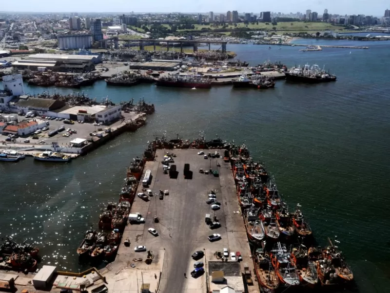 Mar del Plata enfrenta una denuncia por da&ntilde;o sist&eacute;mico en su puerto con respaldo de estudios del CONICET y el INIDEP