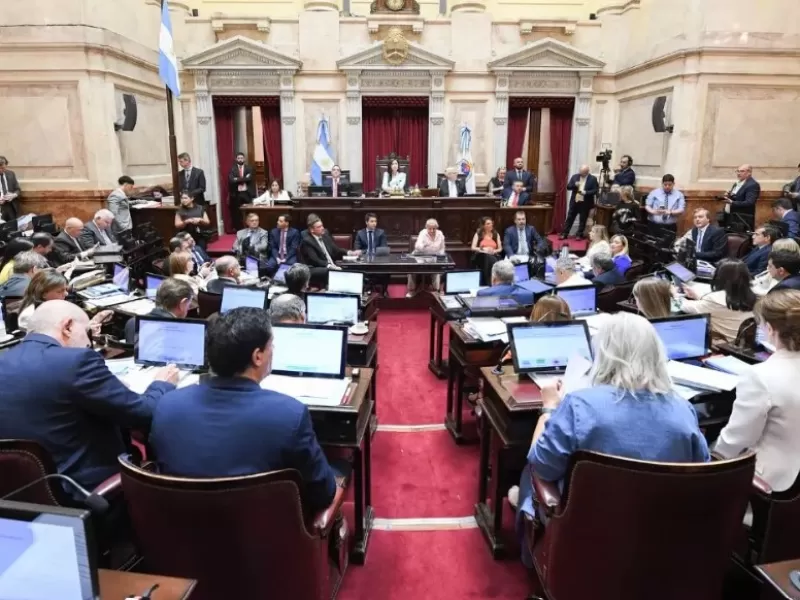 Llevaron al Senado un pedido para remover el radar de LeoLabs y prohibir instalaciones similares