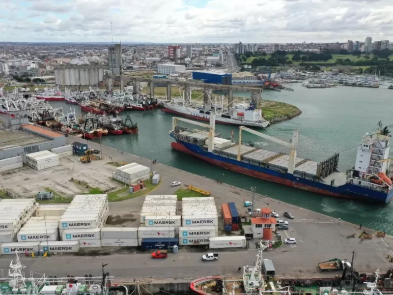 Aseguran que Mar del Plata arrastra casi dos d&eacute;cadas de demoras en el expediente por las plantas harineras