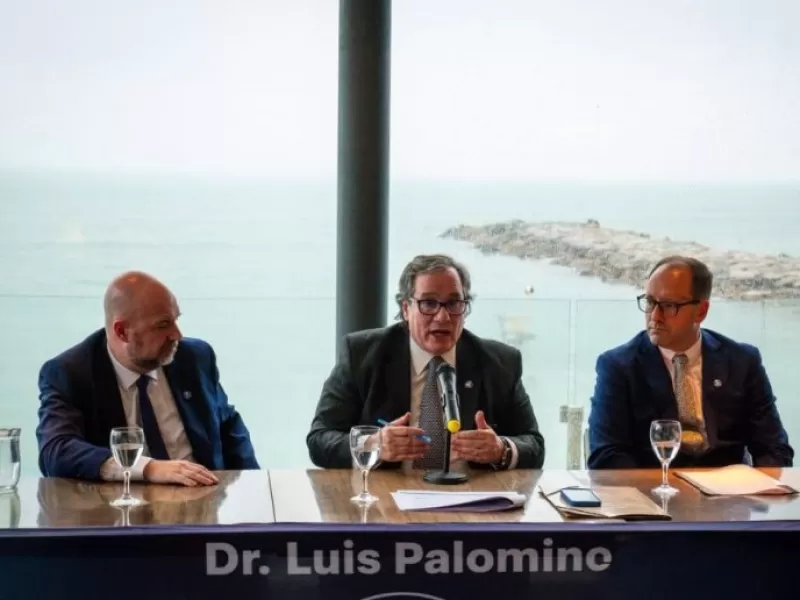 Los libertarios hicieron agua en los Colegios de Abogados: quedaron &uacute;ltimos y sin bancas en el reparto provisorio