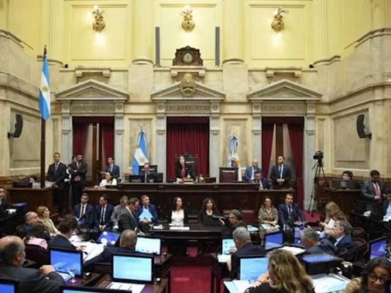 La decisi&oacute;n del Senado sobre la Ley de Tierras recibi&oacute; un fuerte cuestionamiento por un ciudadano que apel&oacute; a la soberan&iacute;a