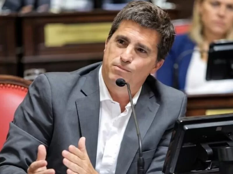 Allan cay&oacute; en un operativo de Pinamar y deber&aacute; pasar tres meses sin manejar