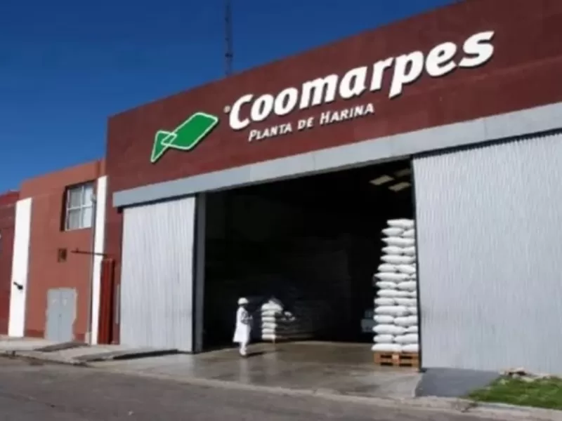 Inchausti enfrenta nuevos cuestionamientos mientras Mar del Plata revive el debate por la contaminaci&oacute;n del Puerto