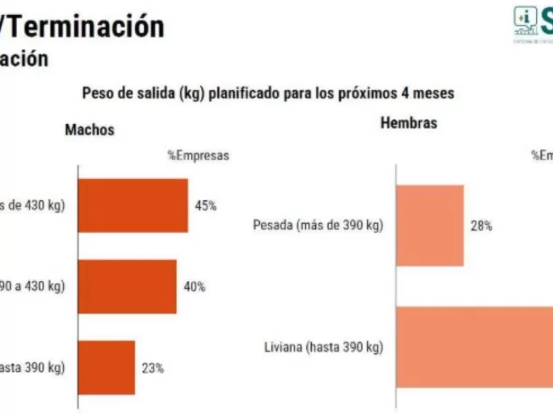 La Encuesta CREA expone el atraso que Javier Milei niega